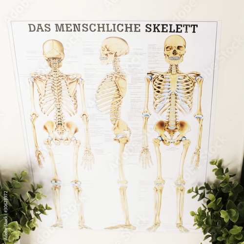 Foto: mediziniesche Lehrtafel mediziniesche Lehrtafel