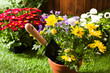 Concept jardinage