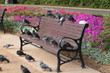 banc public banc public