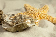 Oyster with pearl