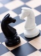 black and white knights