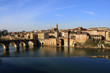 Albi