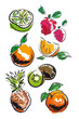 FRUITS-2