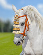 grey andalusian horse spanish decoration