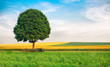 Landschaftspanorama