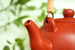 Teapot with leaves