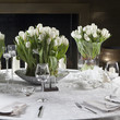 Photo: Tulip in vase Tulip in vase