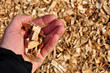 Holding wooden chips