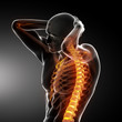 Human body with visible spine and ribs Human body with visible spine and ribs