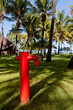 Poteau incendie dans un jardin tropical