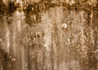 Pour cement texture
