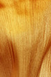 gaine foliaire de palmier