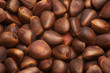 Photo: pine nuts pine nuts