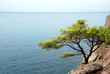 Along the coast of Spain...