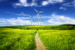 Eco power in nature landscape