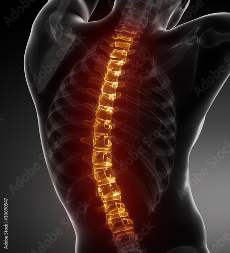 Foto: Male Body Backbone Scan Male Body Backbone Scan