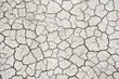 texture of dry cracked soil