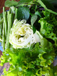 Photo: gree vegetable gree vegetable