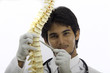 chiropractic doctor with a human spine