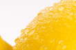 Lemon, isolated on a white background