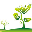 vector: young leaves tree