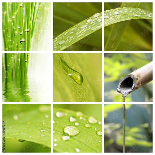 Photo: Collage nature et eau Collage nature et eau