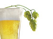 a glass of beer a glass of beer