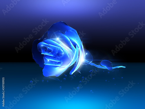 Illustration: Woter rose Woter rose