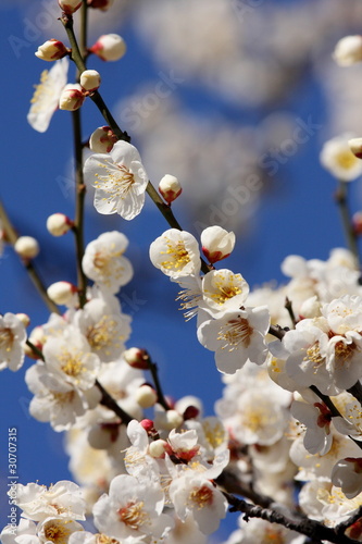photo par kohashi