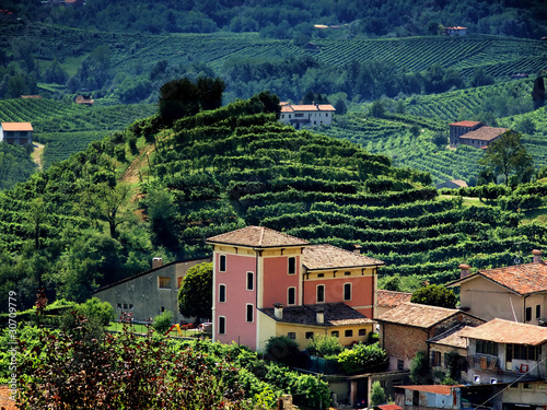 Photo: colline del prosecco in provincia di treviso colline del prosecco in provincia di treviso