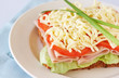 Tasty ham, tomato and cheese sandwich Tasty ham, tomato and cheese sandwich