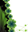 Clover on the wavy green background