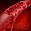 Blood cells flowing through veins and human circulatory system