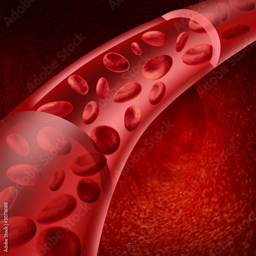 Illustration: Blood cells flowing through veins and human circulatory system Blood cells flowing through veins and human circulatory system