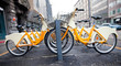 Row of bicycles for rent