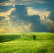 Summer landscape with green grass, road and clouds