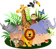 Animal cartoon