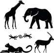 African animals
