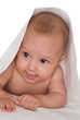 portrait of a beautiful newborn