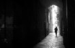 into the light