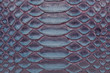 Genuine python leather