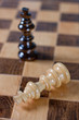 chess game chess game