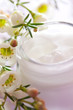 Pflegecreme