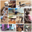 Africa life