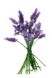 Photo en ligne au meilleur prix lavender