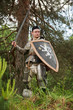 Knight in armor