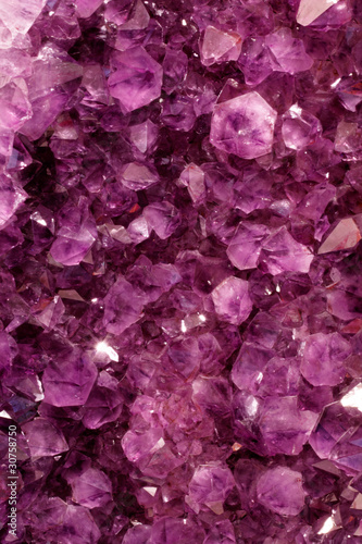 Photo: Purple Gems Purple Gems