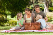 Joyful family picnicking in the park Joyful family picnicking in the park