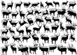 huge collection of deer silhouettes