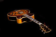 Jazzgitarre Gibson L5 Jazzgitarre Gibson L5
